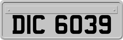 DIC6039