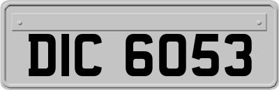 DIC6053