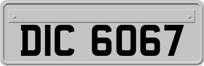 DIC6067