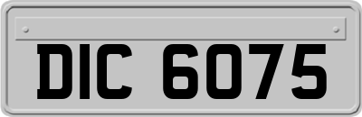 DIC6075