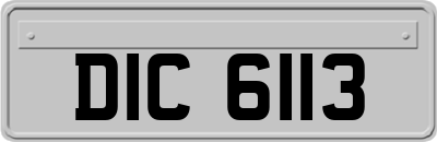 DIC6113