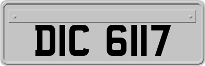 DIC6117