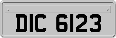 DIC6123