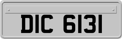 DIC6131