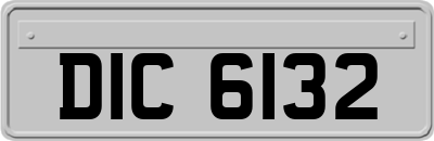 DIC6132