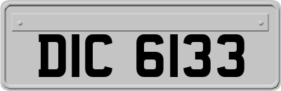 DIC6133