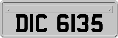DIC6135