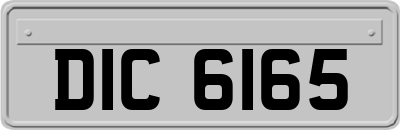 DIC6165