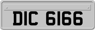 DIC6166