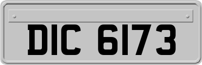 DIC6173
