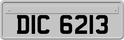 DIC6213