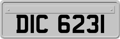 DIC6231