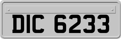 DIC6233
