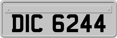 DIC6244