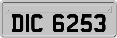 DIC6253
