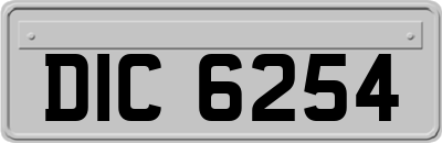 DIC6254