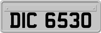 DIC6530