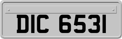 DIC6531