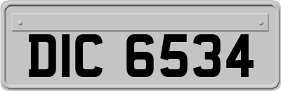 DIC6534