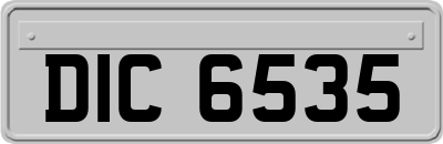 DIC6535