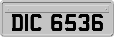 DIC6536