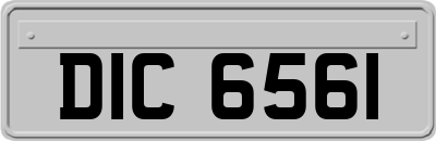 DIC6561
