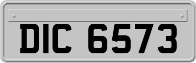 DIC6573