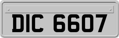 DIC6607