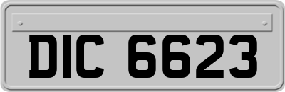 DIC6623