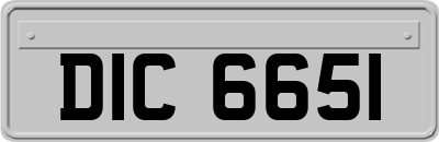 DIC6651