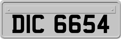 DIC6654