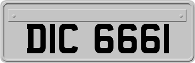 DIC6661