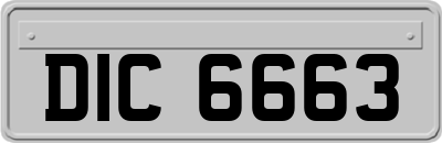 DIC6663