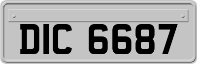DIC6687