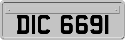 DIC6691