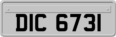 DIC6731