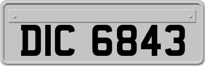 DIC6843