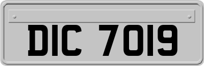 DIC7019