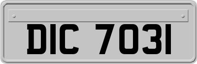 DIC7031
