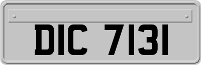 DIC7131