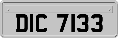 DIC7133