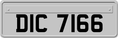 DIC7166