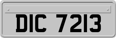 DIC7213