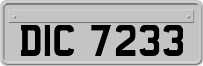 DIC7233