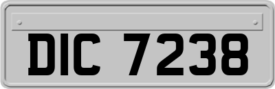 DIC7238