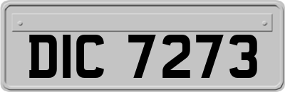 DIC7273