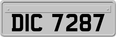 DIC7287