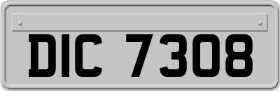 DIC7308