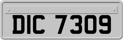 DIC7309
