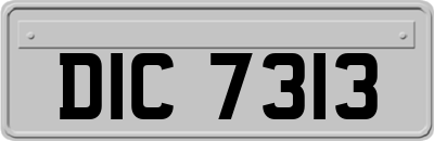 DIC7313